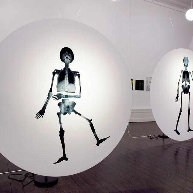 Eli Benveniste, Our Reality, their illusion, 2009